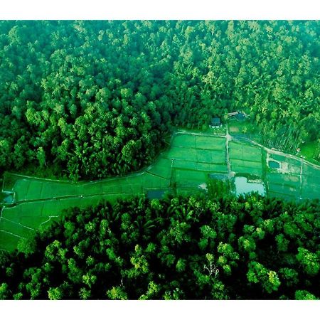 Vayal Veedu - Luxury Farm Villas By The Woods Muthanga Eksteriør bilde