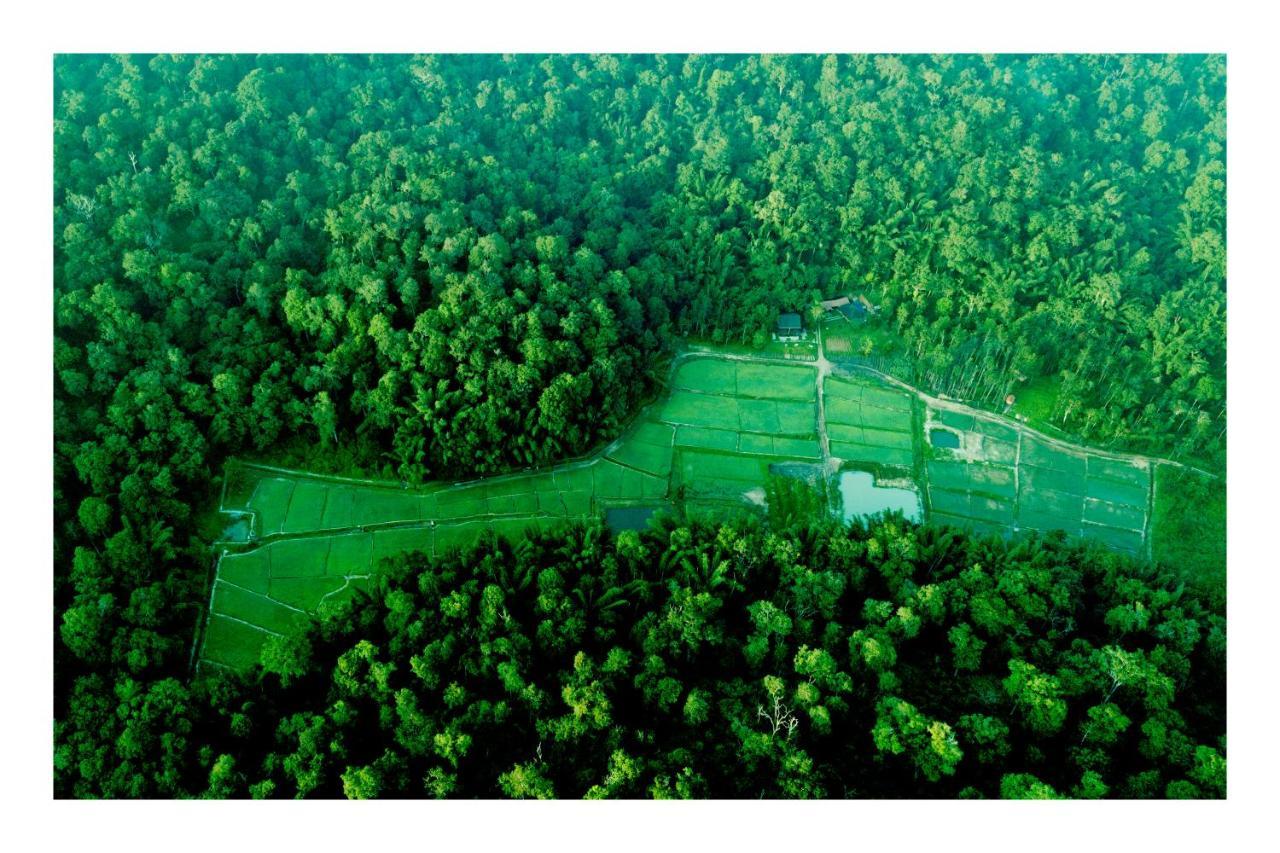 Vayal Veedu - Luxury Farm Villas By The Woods Muthanga Eksteriør bilde