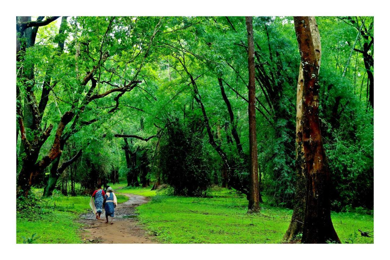 Vayal Veedu - Luxury Farm Villas By The Woods Muthanga Eksteriør bilde